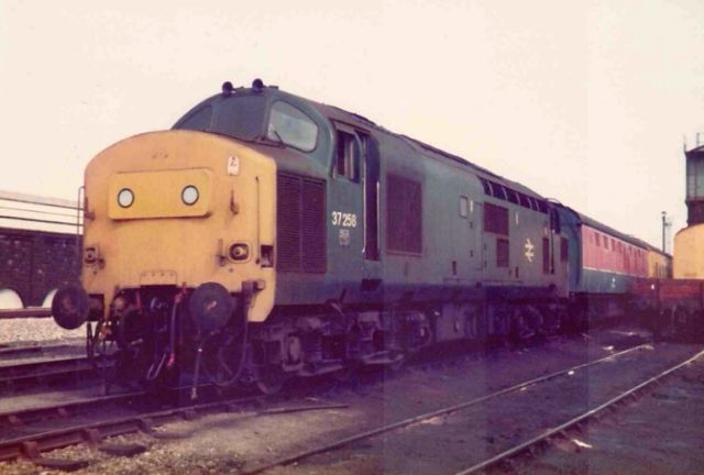 sb37258_2.jpg