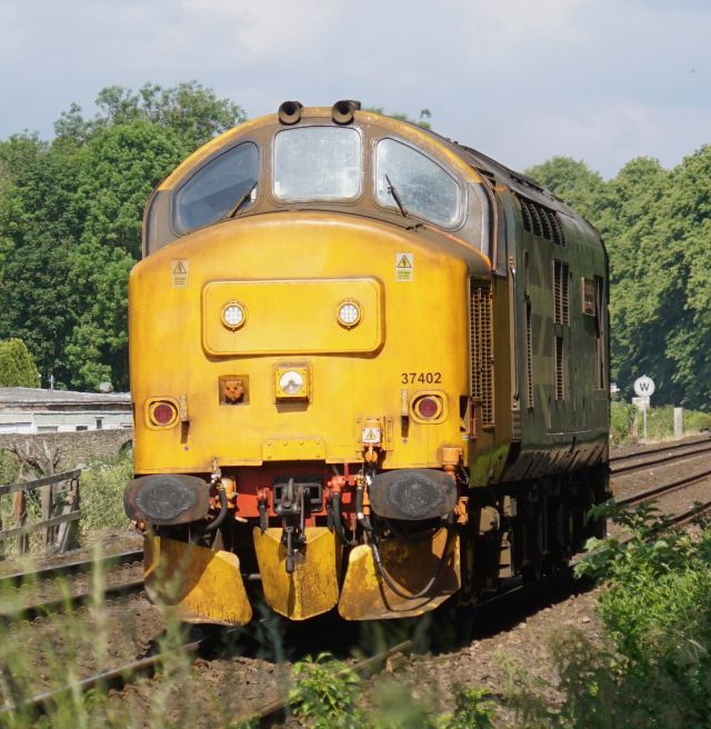 sd37402.jpg