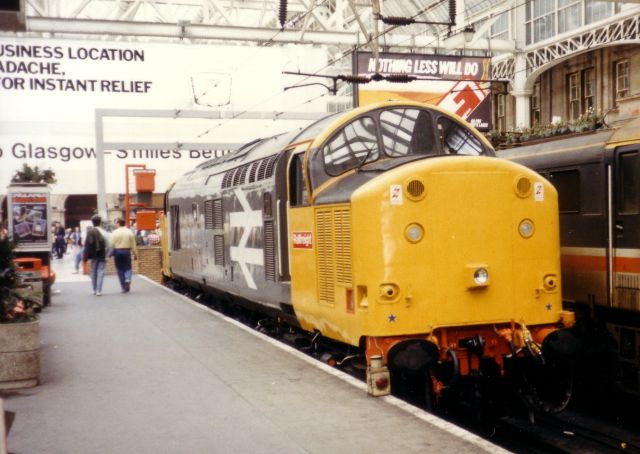 sp37509.jpg