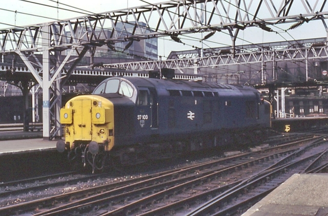 ss37103.jpg