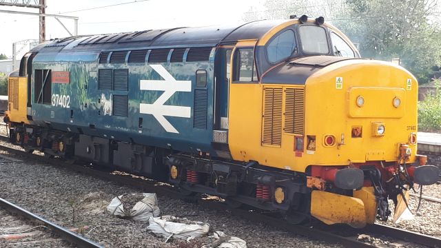 st37402.jpg