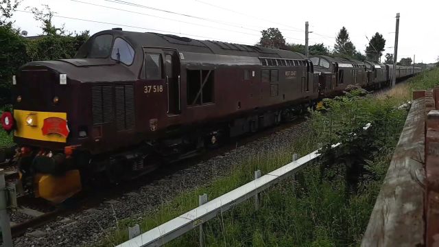 st37518.jpg