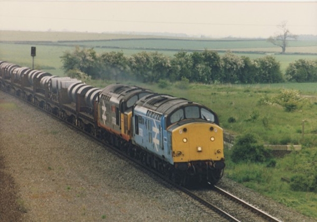 th37501.jpg