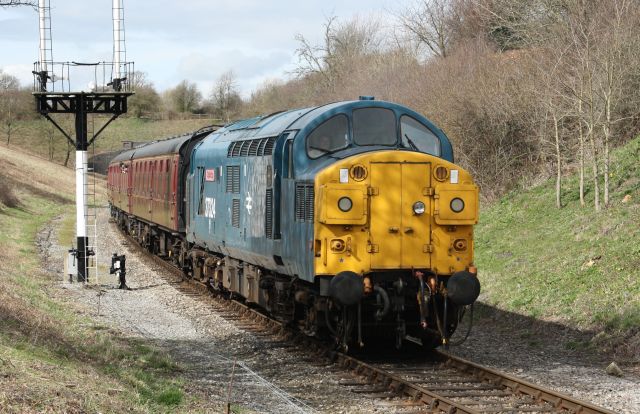 wf37099.jpg