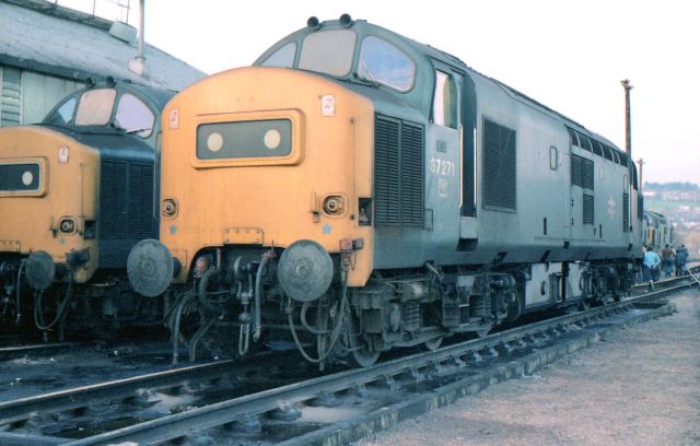 2024ic37271.jpg