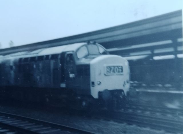 2024rld6971.jpg