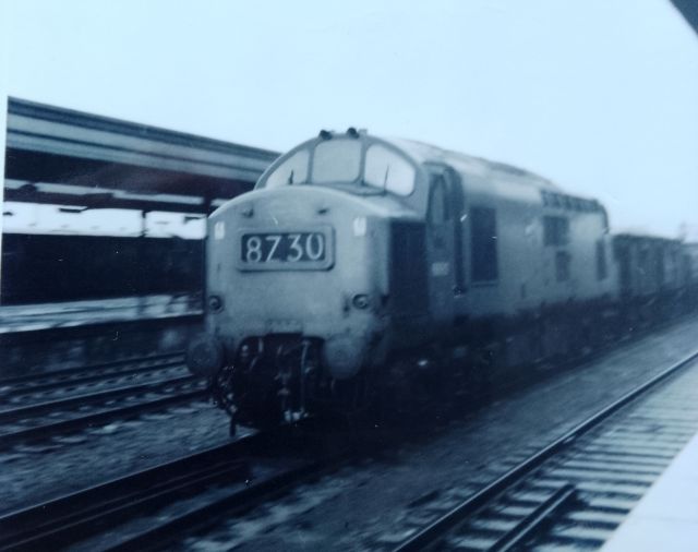 2024rld6990.jpg