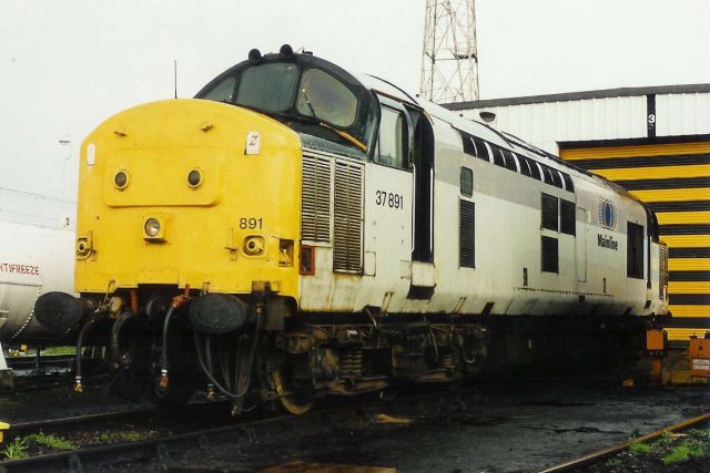 2024ss37891.jpg
