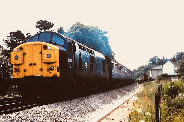 2025nu37082.jpg