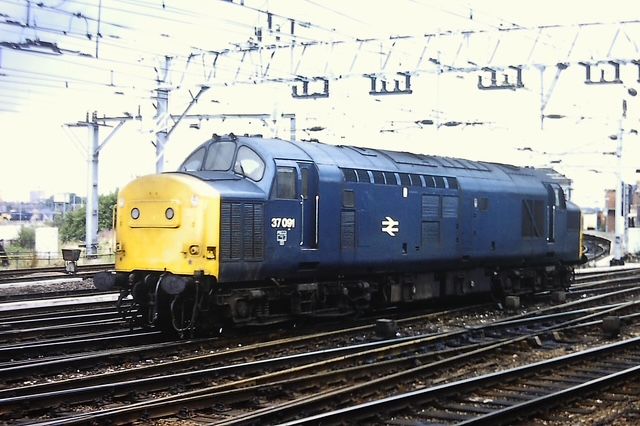 2025nu37091.jpg
